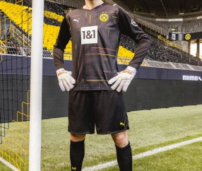 宝盈真人-多特蒙德神秘伤病频现，引发球迷担忧(多特蒙德集锦)